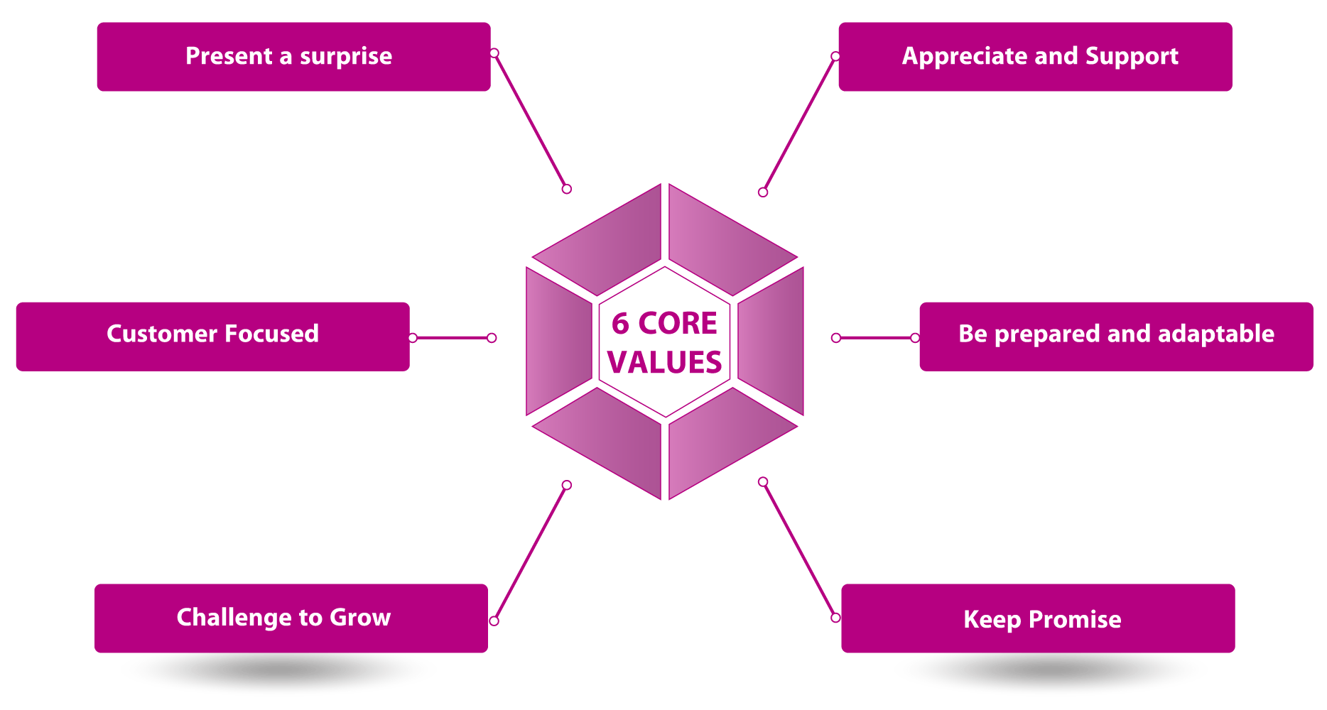 Our 6 Core Values